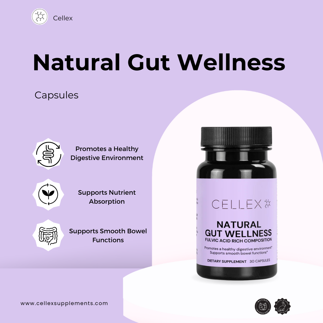 Gut Health Stack (capsules)