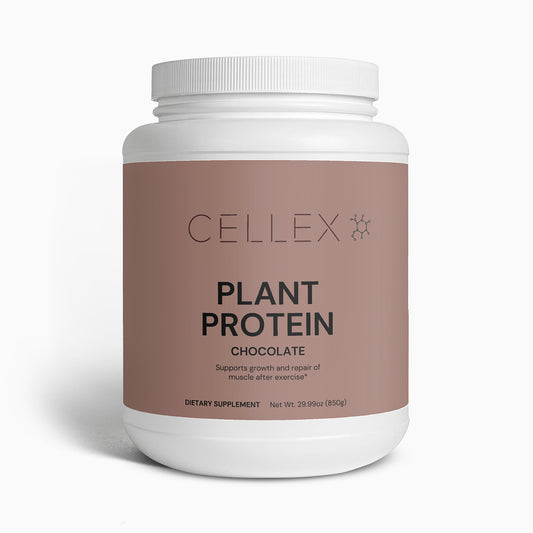 Plant Protein (Chocolate)