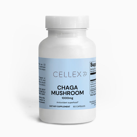 Chaga Mushroom