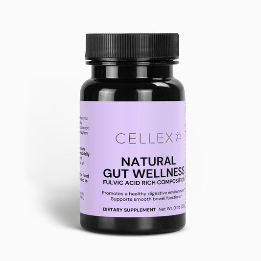 Natural Gut Wellness Powder