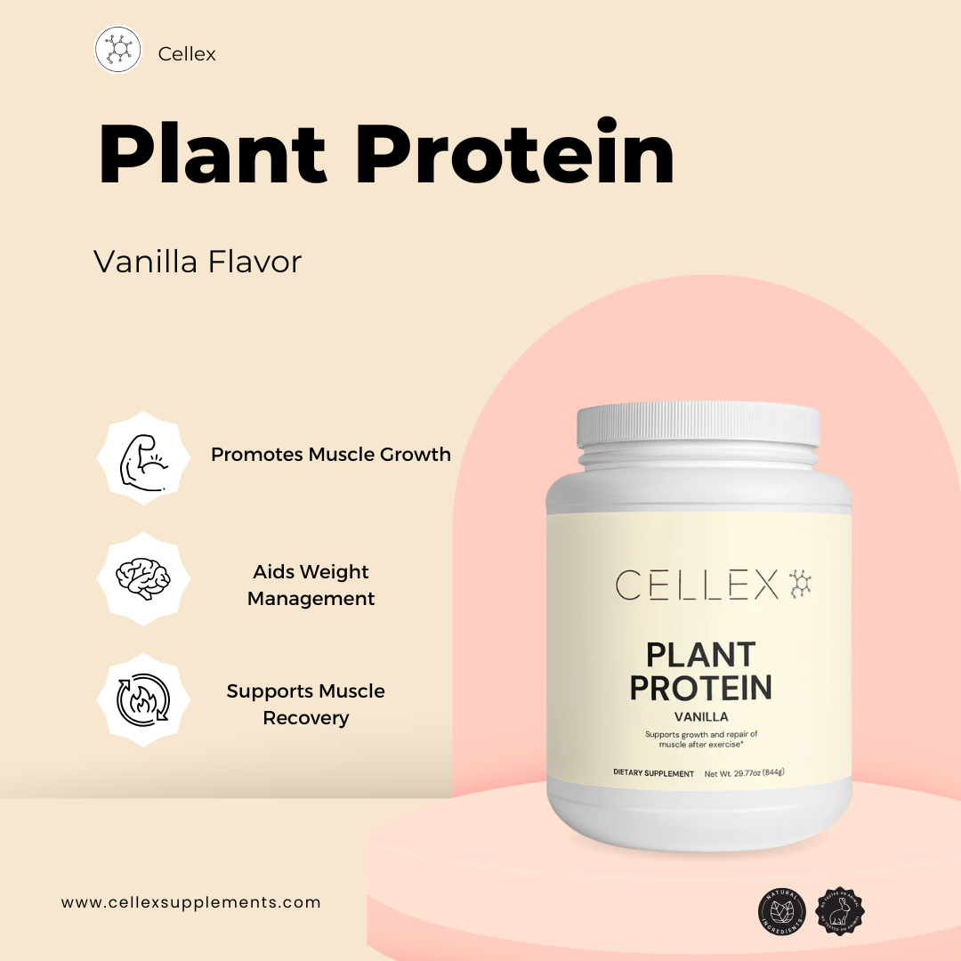 Plant Protein (Vanilla)