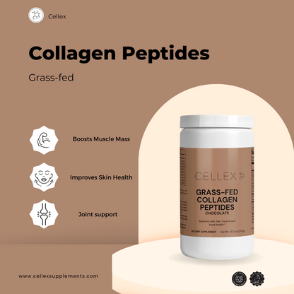 Grass-Fed Hydrolyzed Collagen Peptides (Chocolate)