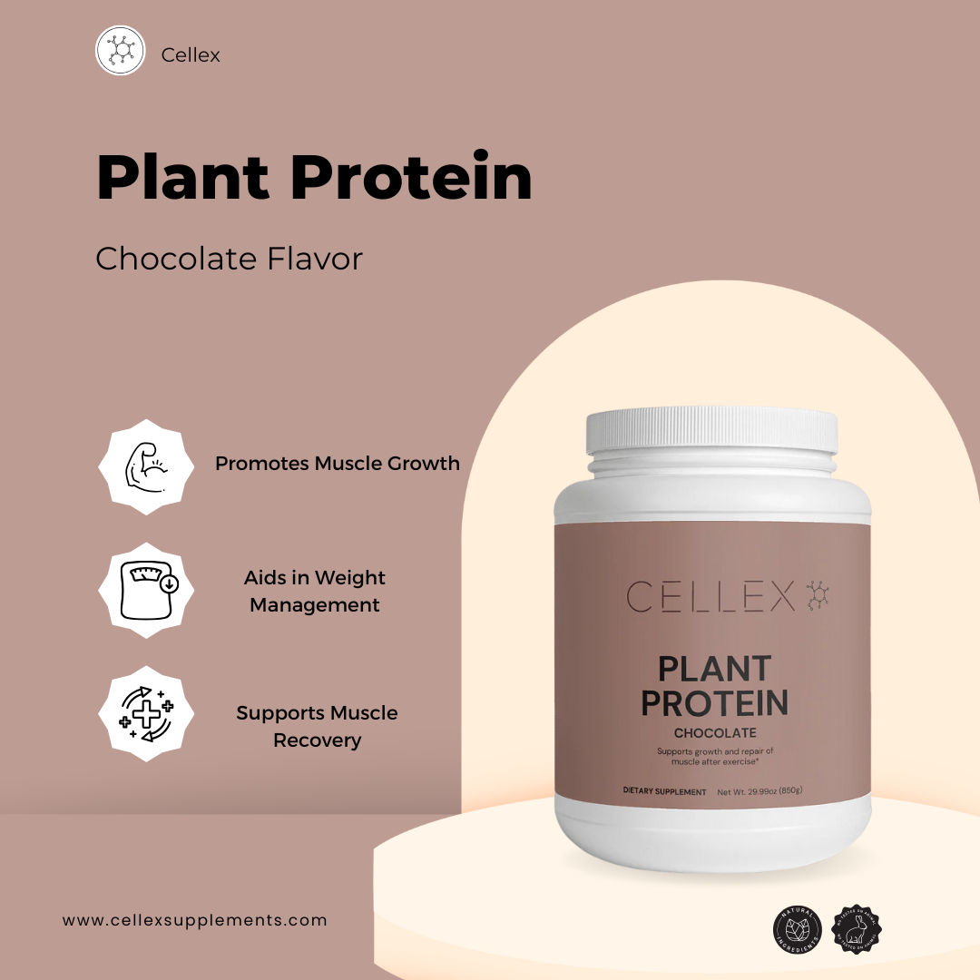 Plant Protein (Chocolate)