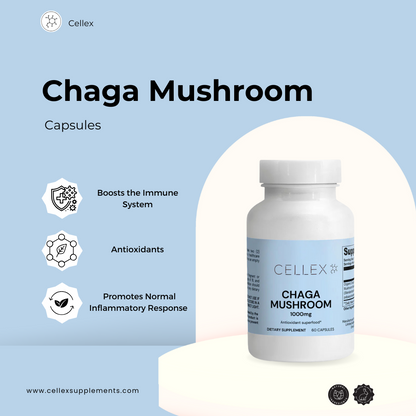 Chaga Mushroom