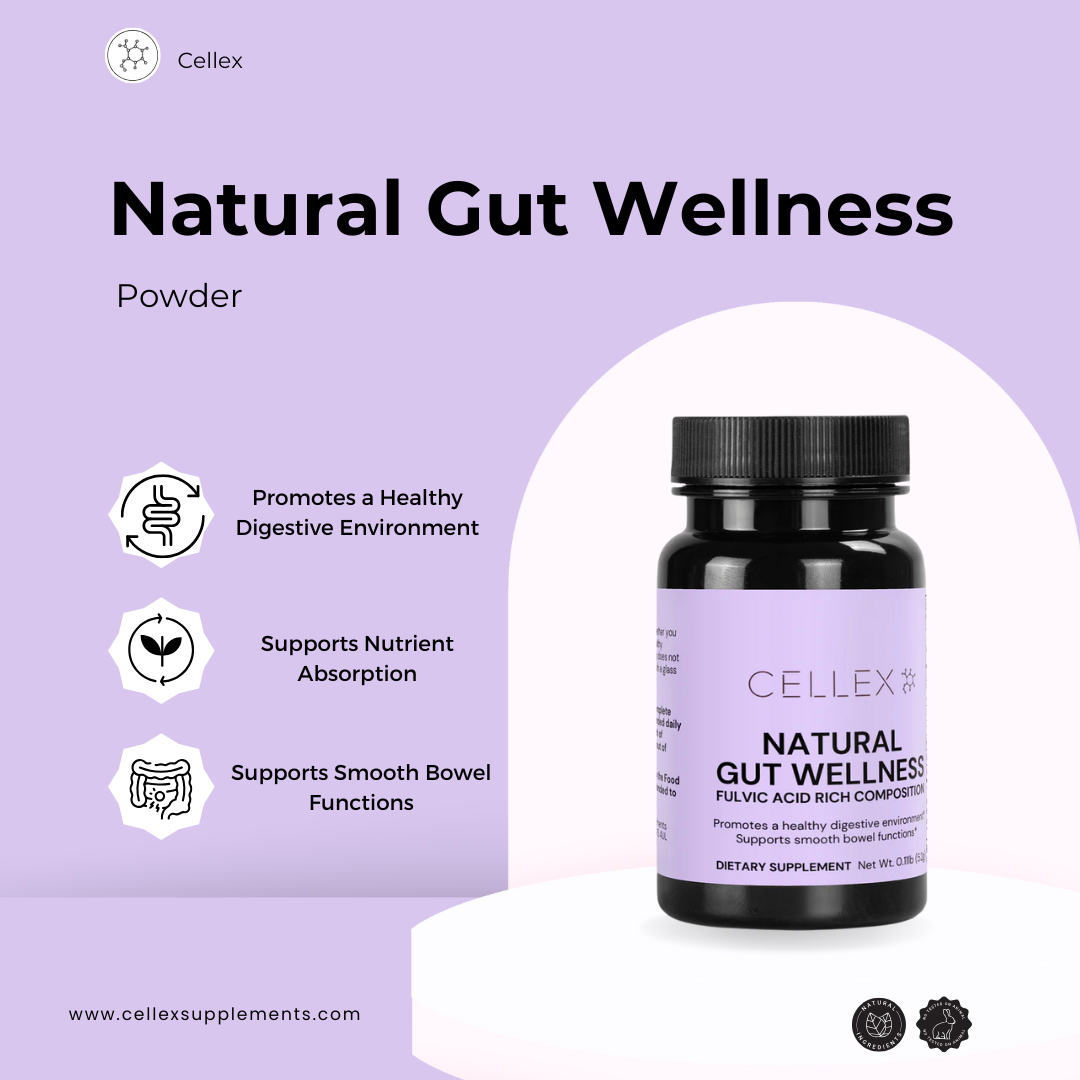 Natural Gut Wellness Powder